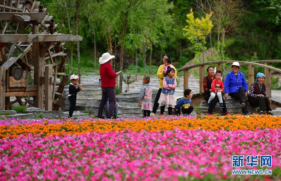 （新華全媒頭條&middot;走向我們的小康生活&middot;決戰決勝脫貧攻堅&middot;圖文互動）（8）脫貧的顏色