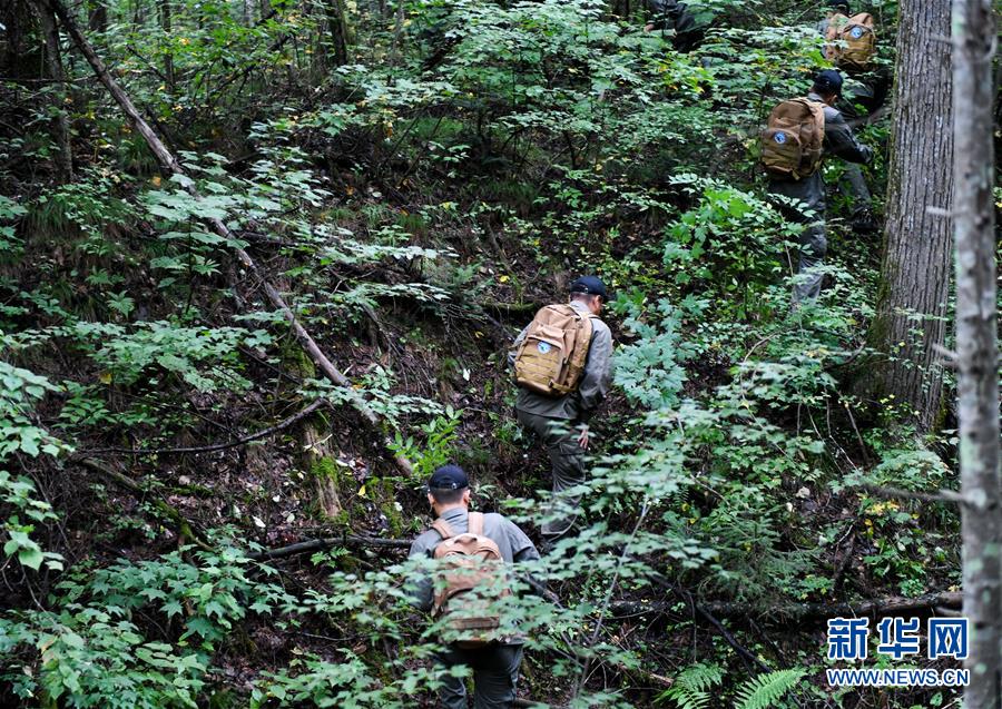 （圖文互動）（2）長白山60年書寫&ldquo;生態答卷&rdquo;