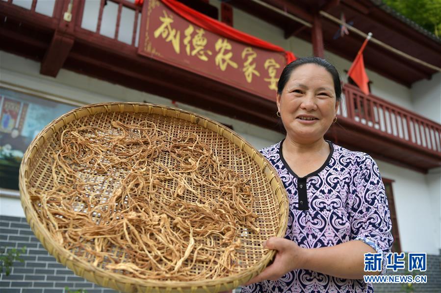 （新華全媒頭條&middot;走向我們的小康生活&middot;圖文互動(dòng)）（4）神山村&ldquo;神奇&rdquo;何在？&mdash;&mdash;井岡山深處覓答案