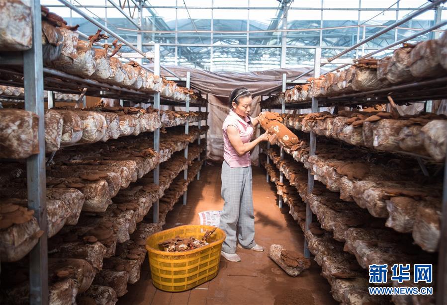 （新華全媒頭條&middot;走向我們的小康生活&middot;圖文互動）（3）特殊之年，荊楚大地書寫不平凡的答卷