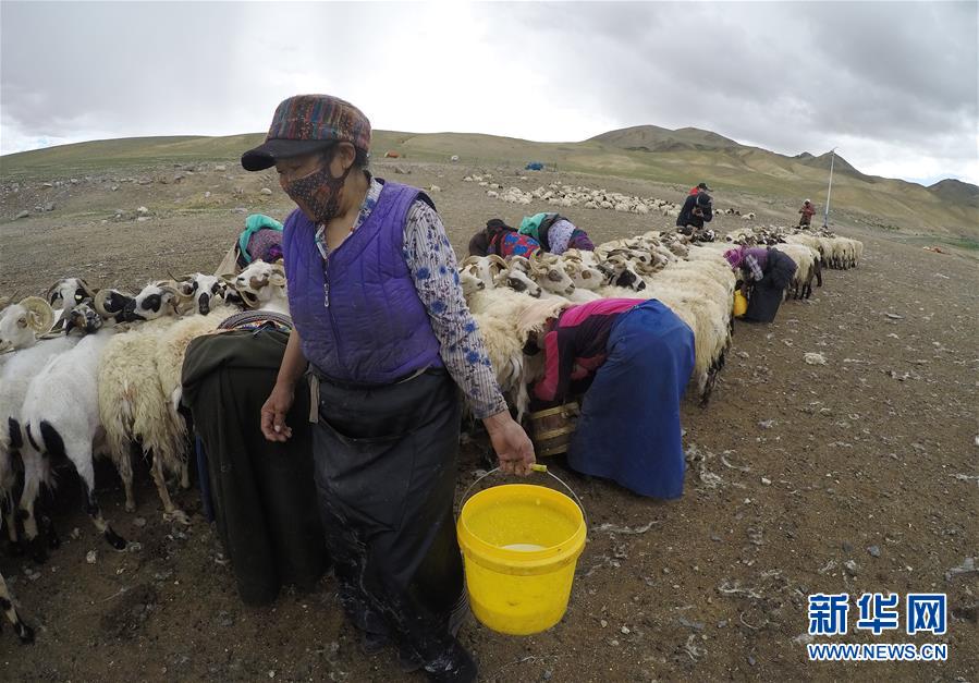 （新華全媒頭條&middot;走向我們的小康生活&middot;決戰(zhàn)決勝脫貧攻堅&middot;圖文互動）（2）兩次遷徙&ldquo;搬窮&rdquo;記&mdash;&mdash;海拔最高縣雙湖的&ldquo;戰(zhàn)貧故事&rdquo;