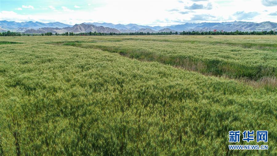 （走向我們的小康生活&middot;圖文互動）（2）&ldquo;無煙村&rdquo;的新追求&mdash;&mdash;西藏新時代文明鄉村成長記