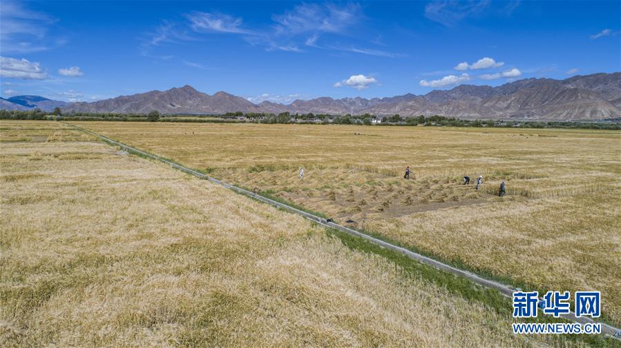 （新華全媒頭條&middot;走向我們的小康生活&middot;圖文互動）（11）扎西德勒，我們的新家園&mdash;&mdash;西藏易地扶貧搬遷搬出幸福美好新生活