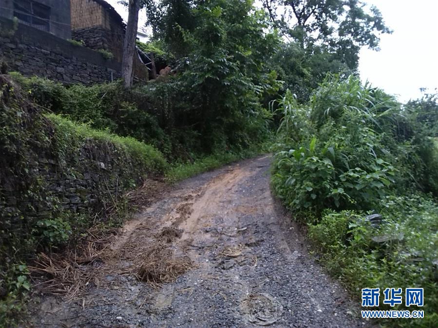 （集中連片特困地區貧困村調研行&middot;圖文互動）（3）百果園里幸福長&mdash;&mdash;湖南鳳凰縣菖蒲塘村脫貧調查