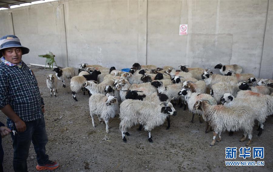 (集中連片特困地區(qū)貧困村調(diào)研行·圖文互動)(4)長江源村人的兩個家和幸福夢——青海格爾木市長江源村脫貧調(diào)查