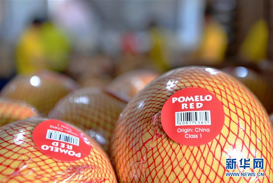 （圖文互動）（3）&ldquo;中國柚都&rdquo;的脫貧&ldquo;蜜&rdquo;碼