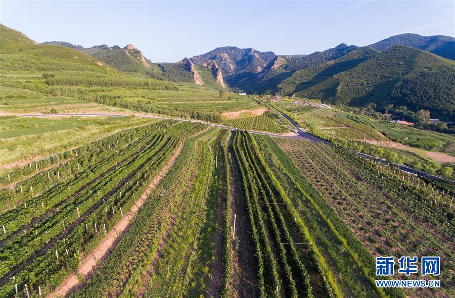 （集中連片特困地區貧困村調研行&middot;圖文互動）（1）又整新鞍馬蹄輕&mdash;&mdash;內蒙古喀喇沁旗馬鞍山村脫貧調查