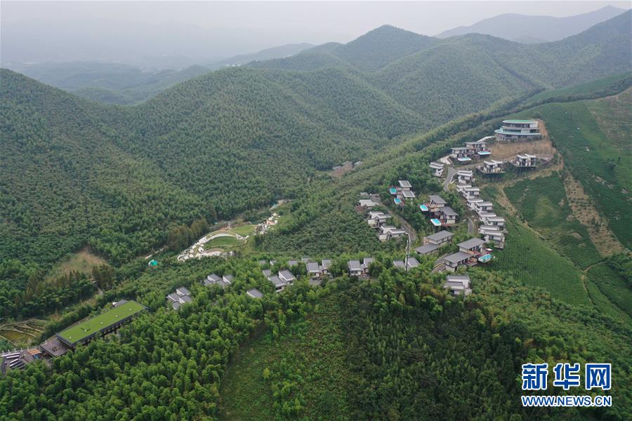 （新華全媒頭條&middot;圖文互動）（8）&ldquo;綠&rdquo;從天目盎然出&mdash;&mdash;湖州做好&ldquo;六穩&rdquo;工作落實&ldquo;六保&rdquo;任務新觀察