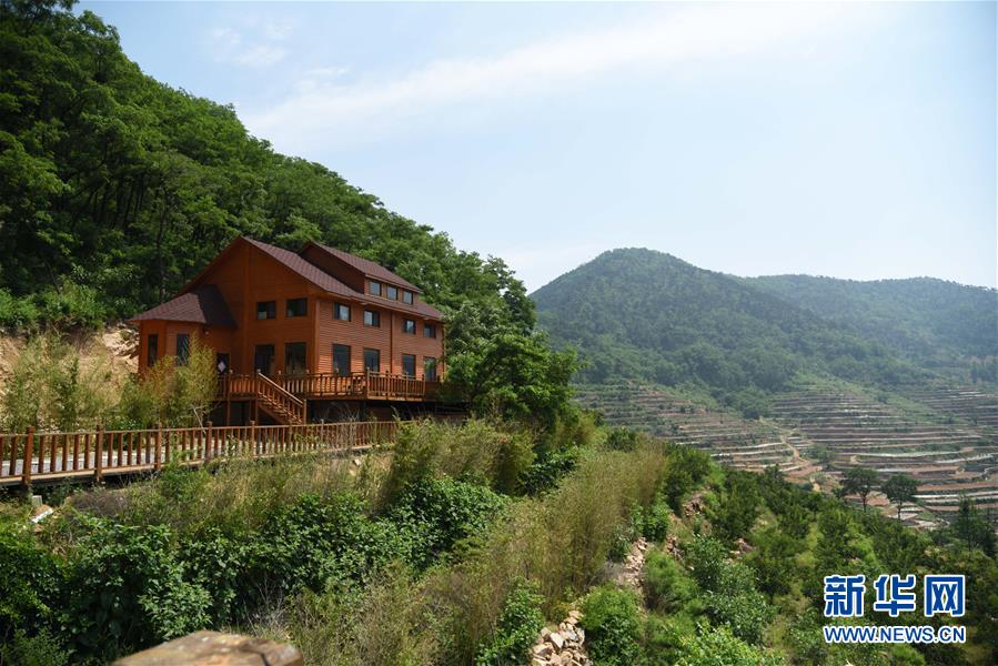 （決戰決勝脫貧攻堅&middot;圖文互動）（3）&ldquo;講好紅色故事&rdquo;也能脫貧攻堅&mdash;&mdash;紅嫂故里山東沂水縣桃棵子村&ldquo;紅色扶貧&rdquo;蹲點手記