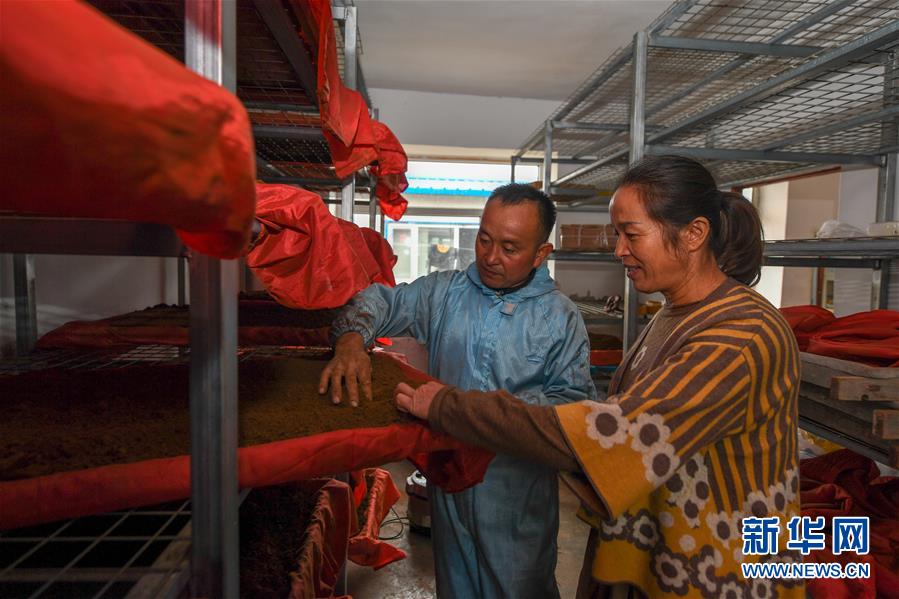 （決戰決勝脫貧攻堅&middot;圖文互動）（5）從&ldquo;因殘致貧&rdquo;到&ldquo;帶頭脫貧&rdquo;&mdash;&mdash;吉林靖宇有這樣一位&ldquo;脫貧英雄&rdquo;