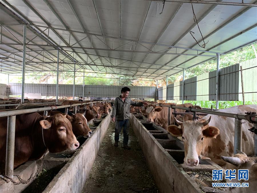 （新華全媒頭條&middot;圖文互動）（3）決戰千山萬弄間&mdash;&mdash;廣西&ldquo;極貧角落&rdquo;最后攻堅記