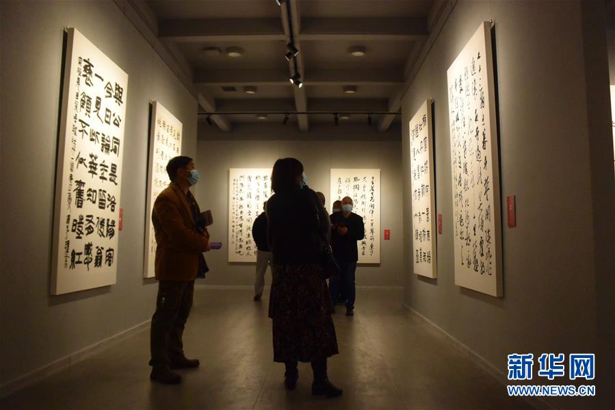 (新華網·圖文互動)(3)“黃河明珠——龍門石窟國際書法名家邀請展”開展