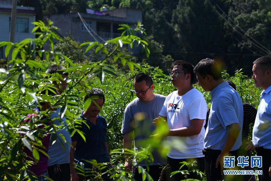 （決戰(zhàn)決勝脫貧攻堅(jiān)&middot;圖文互動）（3）&ldquo;堵槍眼&rdquo;的脫貧戰(zhàn)怎么打？&mdash;&mdash;繼光村見聞