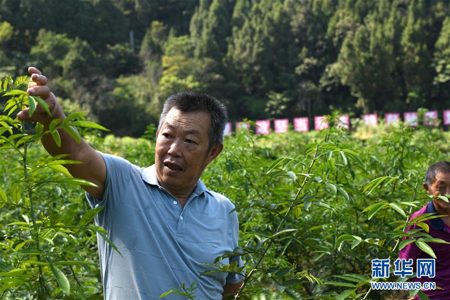 （決戰(zhàn)決勝脫貧攻堅(jiān)&middot;圖文互動）（4）&ldquo;堵槍眼&rdquo;的脫貧戰(zhàn)怎么打？&mdash;&mdash;繼光村見聞