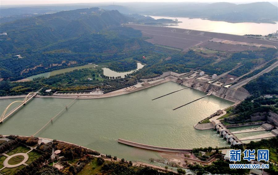 (新華全媒頭條·圖文互動)(1)從“四亂”突出到生態修復 黃河漸成中原“綠飄帶”