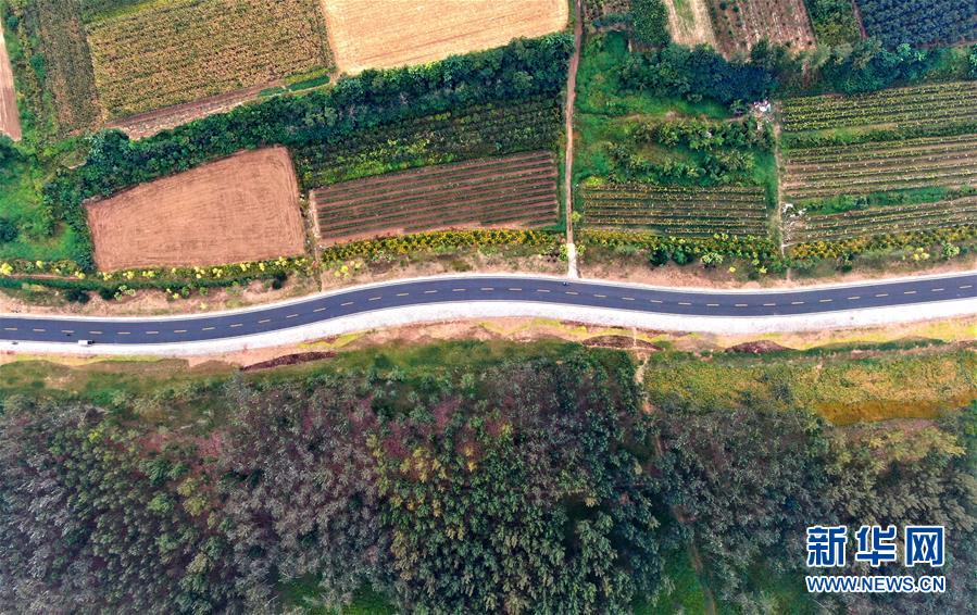 (新華全媒頭條·圖文互動)(4)從“四亂”突出到生態修復 黃河漸成中原“綠飄帶”