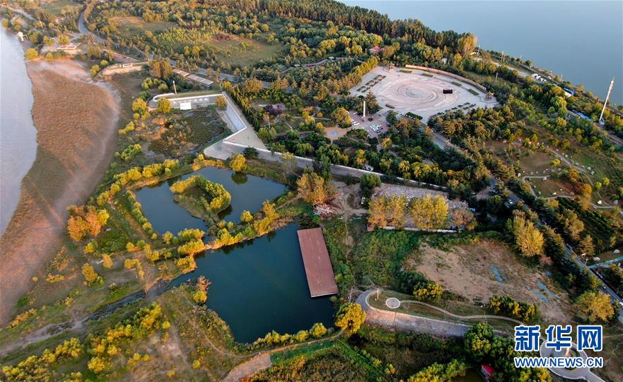 (新華全媒頭條·圖文互動)(14)從“四亂”突出到生態修復 黃河漸成中原“綠飄帶”