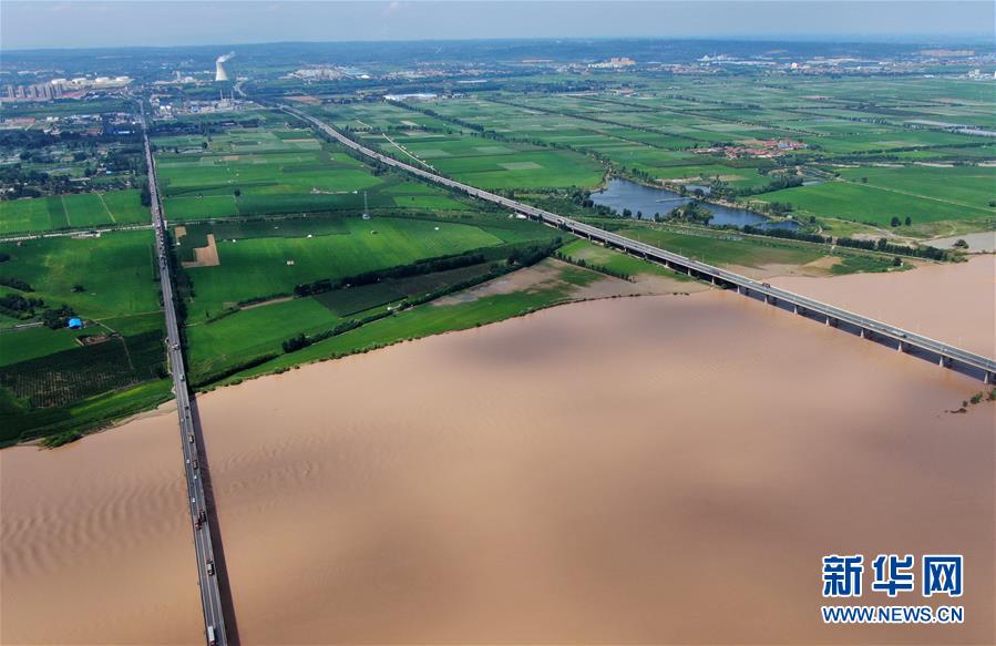 (新華全媒頭條·圖文互動)(16)從“四亂”突出到生態修復 黃河漸成中原“綠飄帶”