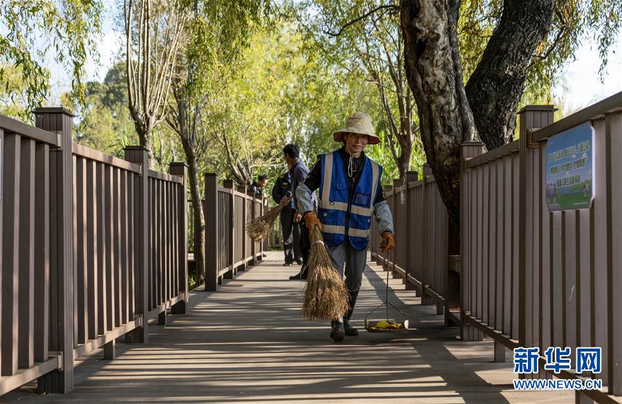（五中全會精神在基層&middot;圖文互動）（3）一湖清水映&ldquo;綠&rdquo;廊&mdash;&mdash;高原明珠洱海&ldquo;顏值&rdquo;再提升