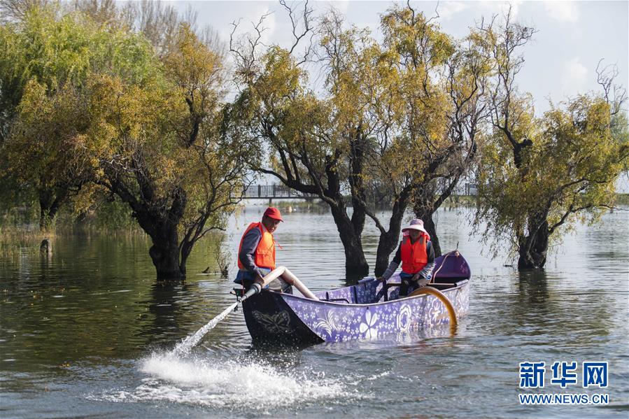 （新華全媒頭條&middot;五中全會精神在基層&middot;圖文互動）（9）奮發新青年　逐夢新征程&mdash;&mdash;各地青年學習貫徹落實五中全會精神觀察