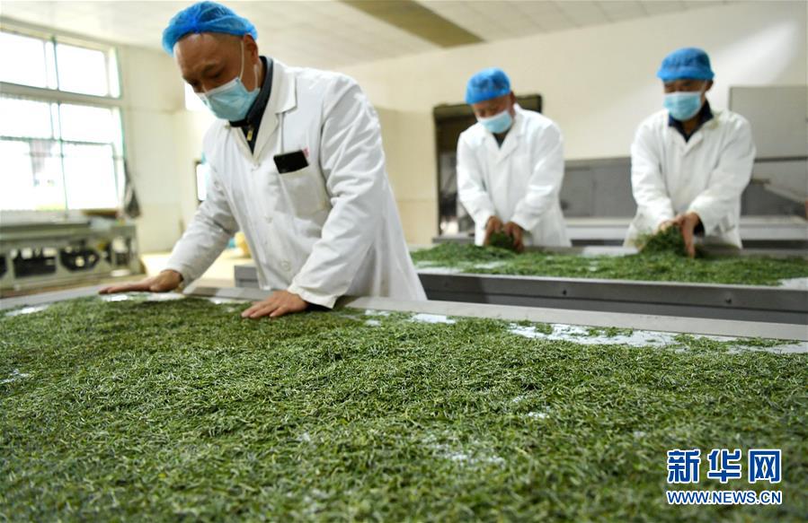 （新華全媒頭條&middot;圖文互動）（22）從人民中汲取磅礴力量&mdash;&mdash;習近平總書記同出席2020年全國兩會人大代表、政協委員共商國是紀實