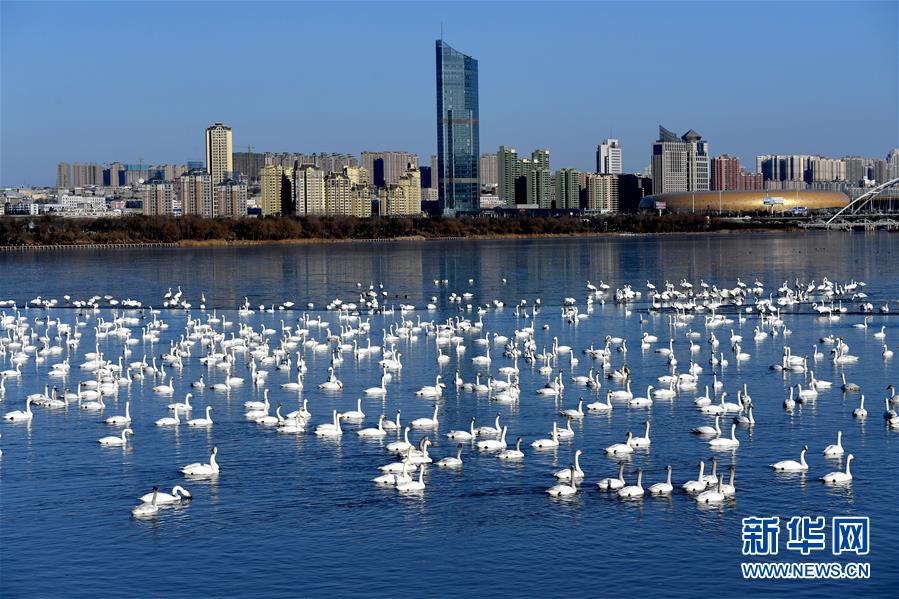 (新華全媒頭條·圖文互動)(14)中國道路越走越寬廣——社會主義中國實踐啟示錄