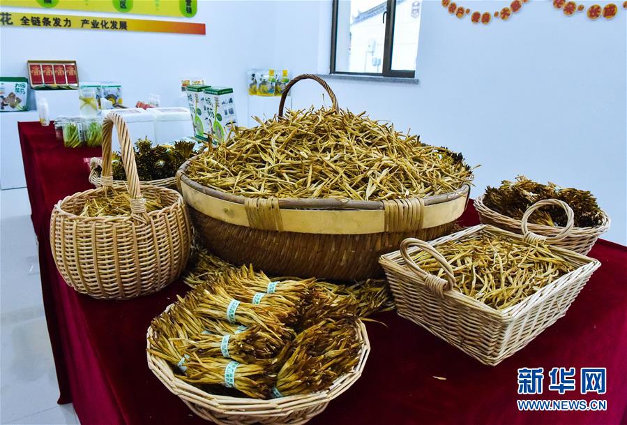 （新華全媒頭條&middot;圖文互動(dòng)）（3）初夏，循著總書記的腳步探訪產(chǎn)業(yè)扶貧新事