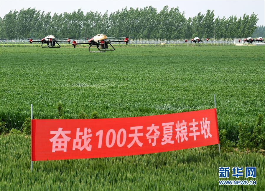 （在習近平新時代中國特色社會主義思想指引下&mdash;&mdash;新時代新作為新篇章&middot;習近平總書記關切事&middot;圖文互動）（9）新農事、新希望&mdash;&mdash;夏收前田間新動態掃描