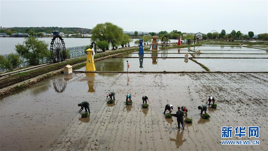 （在習近平新時代中國特色社會主義思想指引下&mdash;&mdash;新時代新作為新篇章&middot;習近平總書記關切事&middot;圖文互動）（6）讓農民挑上&ldquo;金扁擔&rdquo;&mdash;&mdash;農業現代化的生動實踐掃描