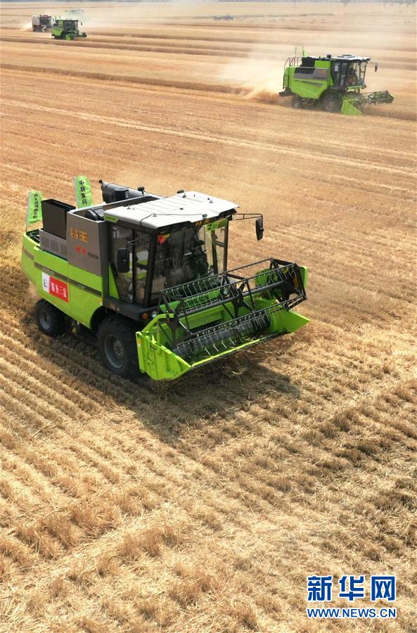 （在習近平新時代中國特色社會主義思想指引下&mdash;&mdash;新時代新作為新篇章&middot;習近平總書記關切事&middot;圖文互動）（13）讓農民挑上&ldquo;金扁擔&rdquo;&mdash;&mdash;農業現代化的生動實踐掃描