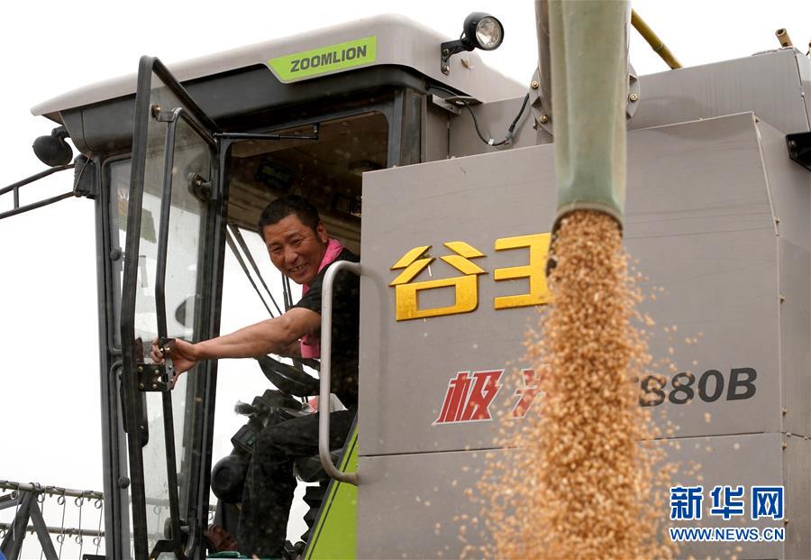 （在習近平新時代中國特色社會主義思想指引下&mdash;&mdash;新時代新作為新篇章&middot;習近平總書記關切事&middot;圖文互動）（3）食為政首&mdash;&mdash;穩住農業基本盤增添發展底氣