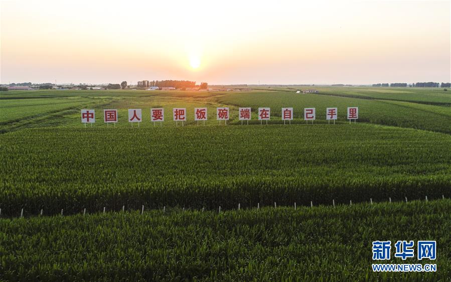 （在習近平新時代中國特色社會主義思想指引下&mdash;&mdash;新時代新作為新篇章&middot;習近平總書記關切事&middot;圖文互動）（1）讓百姓吃得飽還要吃得好&mdash;&mdash;夯實糧食安全基礎端牢中國飯碗
