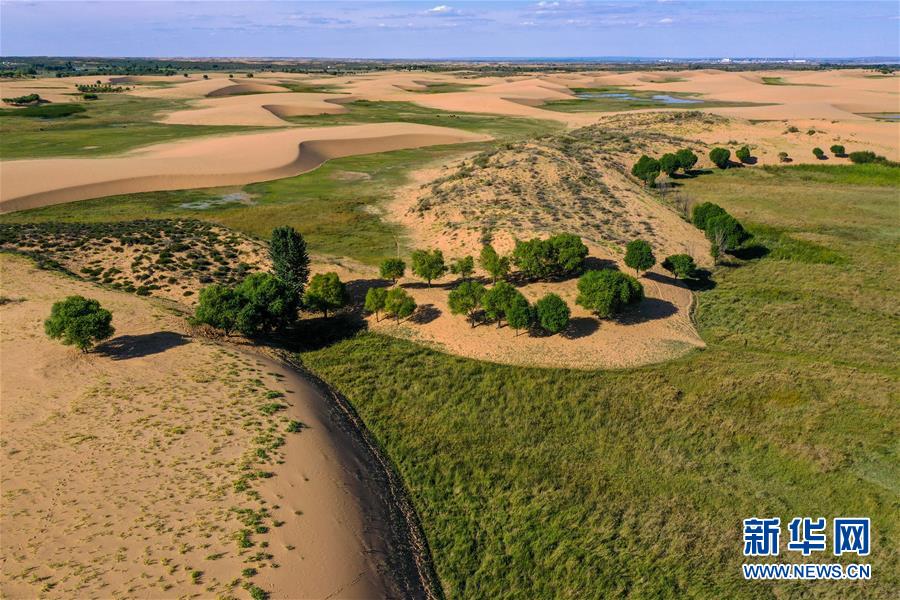 （在習(xí)近平新時(shí)代中國(guó)特色社會(huì)主義思想指引下&mdash;&mdash;新時(shí)代新作為新篇章&middot;習(xí)近平總書(shū)記關(guān)切事&middot;圖文互動(dòng)）（10）綠意，在黃沙中鋪展&mdash;&mdash;我國(guó)防沙治沙紀(jì)實(shí)