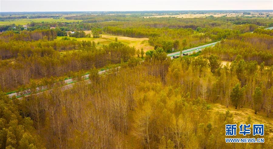 （在習(xí)近平新時(shí)代中國(guó)特色社會(huì)主義思想指引下&mdash;&mdash;新時(shí)代新作為新篇章&middot;習(xí)近平總書(shū)記關(guān)切事&middot;圖文互動(dòng)）（3）綠意，在黃沙中鋪展&mdash;&mdash;我國(guó)防沙治沙紀(jì)實(shí)