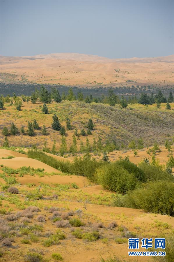 （在習(xí)近平新時(shí)代中國(guó)特色社會(huì)主義思想指引下&mdash;&mdash;新時(shí)代新作為新篇章&middot;習(xí)近平總書(shū)記關(guān)切事&middot;圖文互動(dòng)）（6）綠意，在黃沙中鋪展&mdash;&mdash;我國(guó)防沙治沙紀(jì)實(shí)