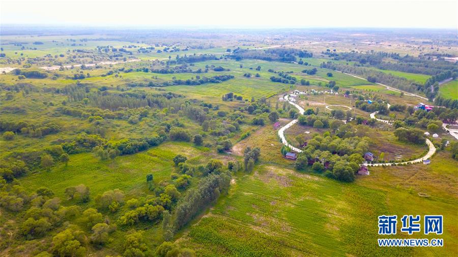 （在習(xí)近平新時(shí)代中國(guó)特色社會(huì)主義思想指引下&mdash;&mdash;新時(shí)代新作為新篇章&middot;習(xí)近平總書(shū)記關(guān)切事&middot;圖文互動(dòng)）（1）綠意，在黃沙中鋪展&mdash;&mdash;我國(guó)防沙治沙紀(jì)實(shí)