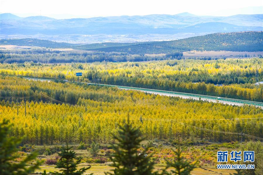 （在習(xí)近平新時(shí)代中國(guó)特色社會(huì)主義思想指引下&mdash;&mdash;新時(shí)代新作為新篇章&middot;習(xí)近平總書(shū)記關(guān)切事&middot;圖文互動(dòng)）（7）綠意，在黃沙中鋪展&mdash;&mdash;我國(guó)防沙治沙紀(jì)實(shí)