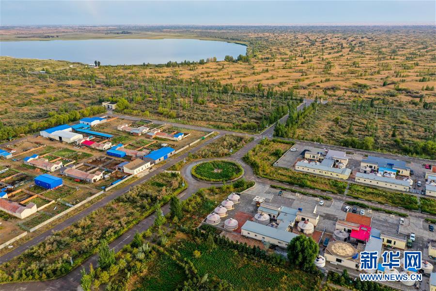 （在習(xí)近平新時(shí)代中國(guó)特色社會(huì)主義思想指引下&mdash;&mdash;新時(shí)代新作為新篇章&middot;習(xí)近平總書(shū)記關(guān)切事&middot;圖文互動(dòng)）（12）綠意，在黃沙中鋪展&mdash;&mdash;我國(guó)防沙治沙紀(jì)實(shí)