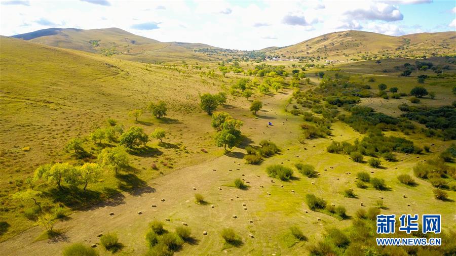 （在習(xí)近平新時(shí)代中國(guó)特色社會(huì)主義思想指引下&mdash;&mdash;新時(shí)代新作為新篇章&middot;習(xí)近平總書(shū)記關(guān)切事&middot;圖文互動(dòng)）（4）綠意，在黃沙中鋪展&mdash;&mdash;我國(guó)防沙治沙紀(jì)實(shí)