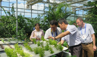 多國(guó)專家齊聚新疆共謀絲路新發(fā)展