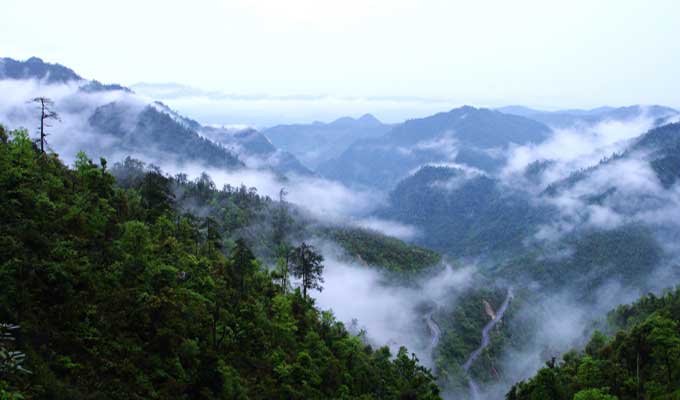 廣東乳源、廣東乳陽林場、云南華寧葫蘆口電站