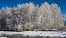 沖乎爾：&ldquo;雪樹銀花&rdquo;童話鎮