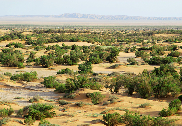 【長篇通訊】塞罕壩，京城綠色屏障的前世今生