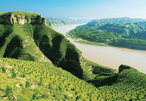 張建龍：&ldquo;三北工程&rdquo;實現生態、經濟、社會效益&ldquo;多贏&rdquo;