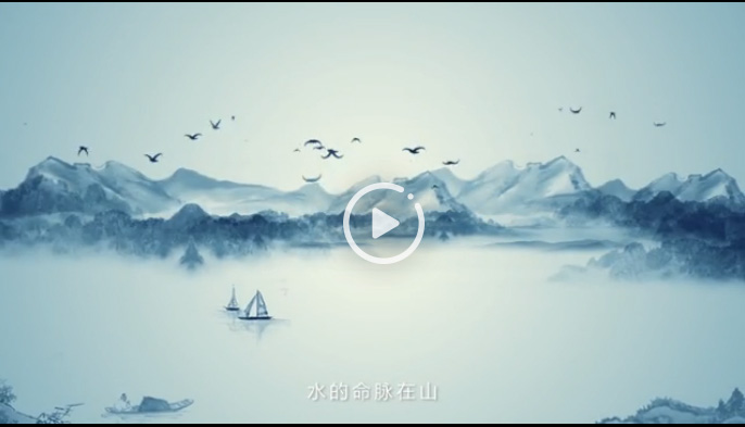 向陽花木易為春&mdash;&mdash;綠色發展之&ldquo;木&rdquo;的故事