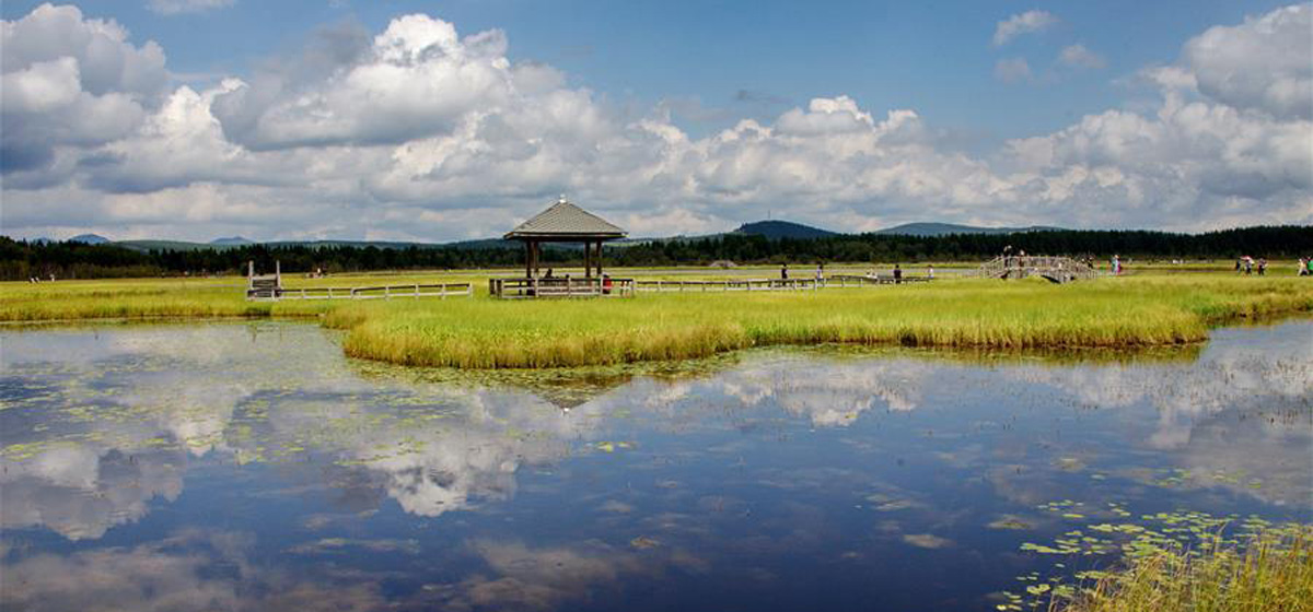那一抹綠色，走進越來越多人心里&mdash;&mdash;河北塞罕壩續寫新時代綠色傳奇