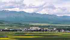 甘肅祁連山&ldquo;雪頂&rdquo;與萬畝油菜花交相輝映