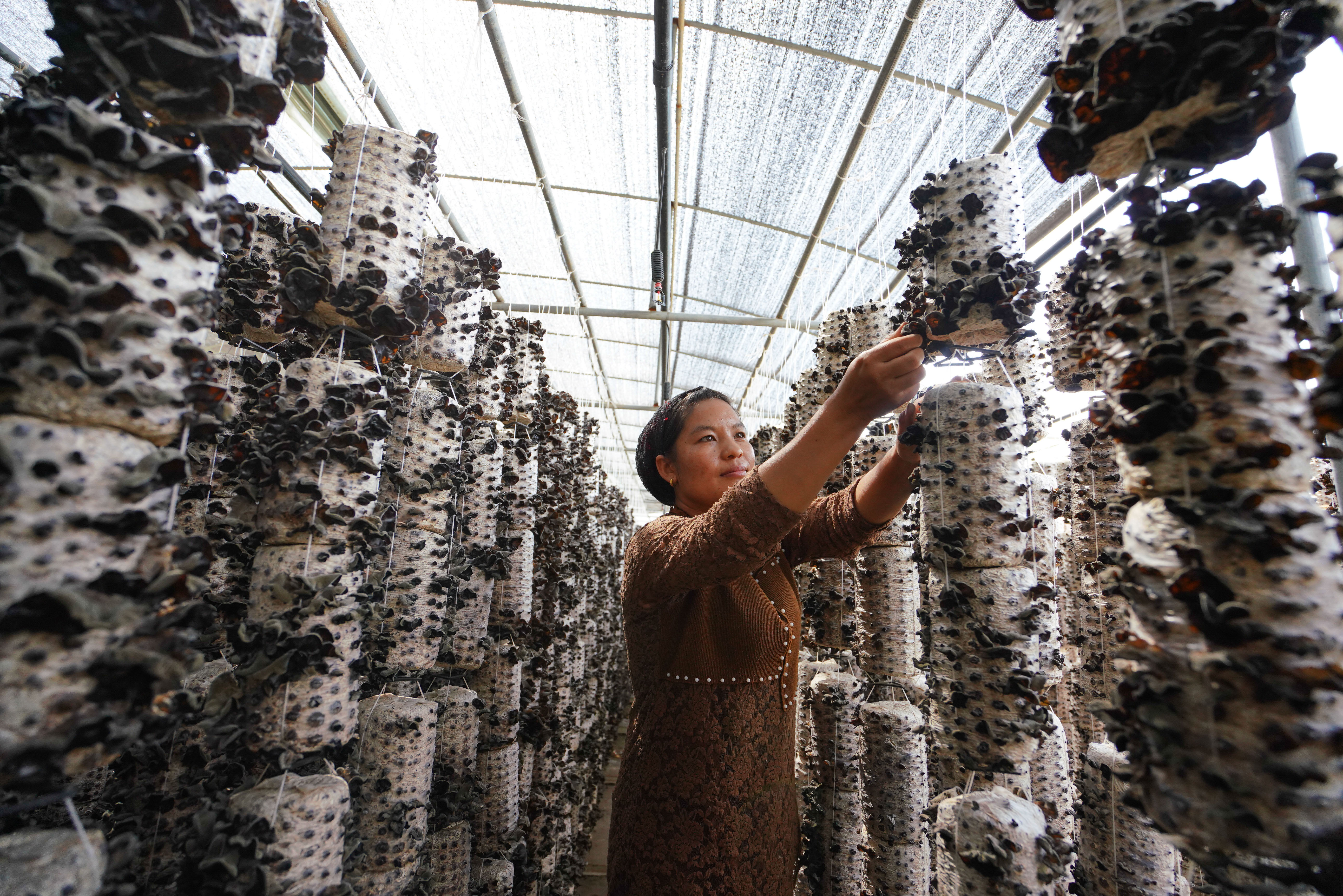 以沖刺的狀態跑出決勝的姿態&mdash;&mdash;&ldquo;三區三州&rdquo;甘肅深貧區脫貧攻堅報告