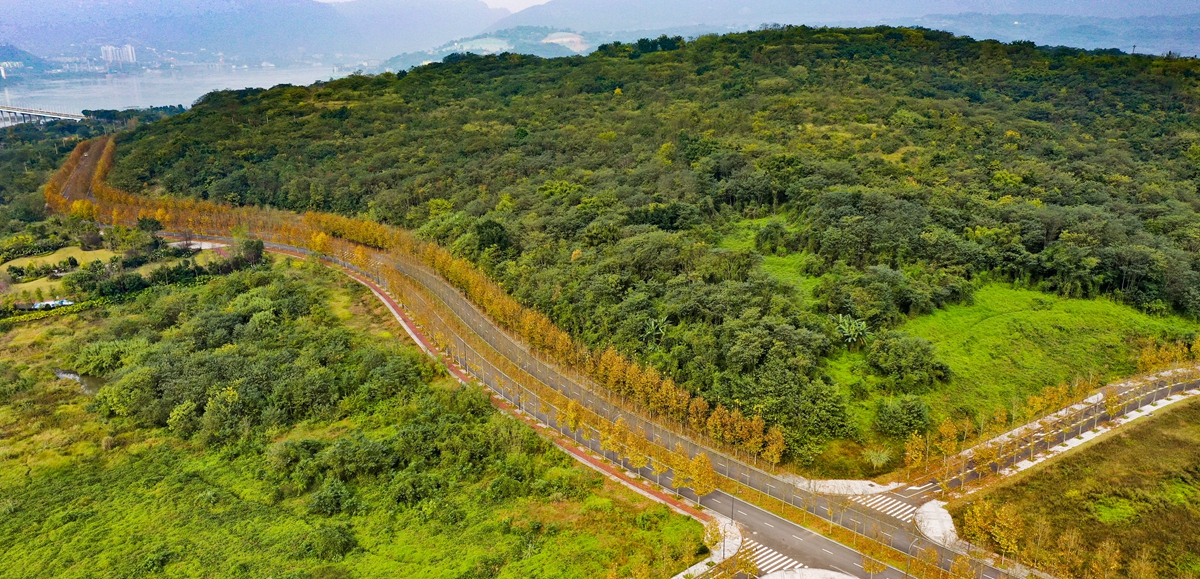 一江碧水串起綠色島鏈&mdash;&mdash;重慶江心島&ldquo;生態留白&rdquo;調查