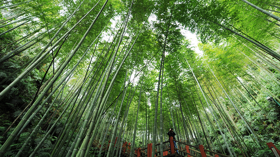 合作共治、責任共擔、效益共享&mdash;&mdash;赤水河流域跨省生態補償取得積極成效